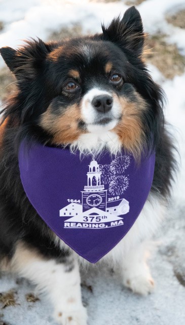 375 Post for the day